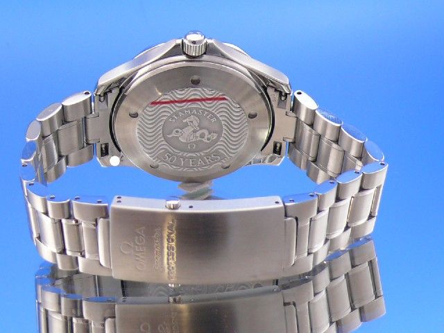 Omega Seamaster Diver 300M GMT