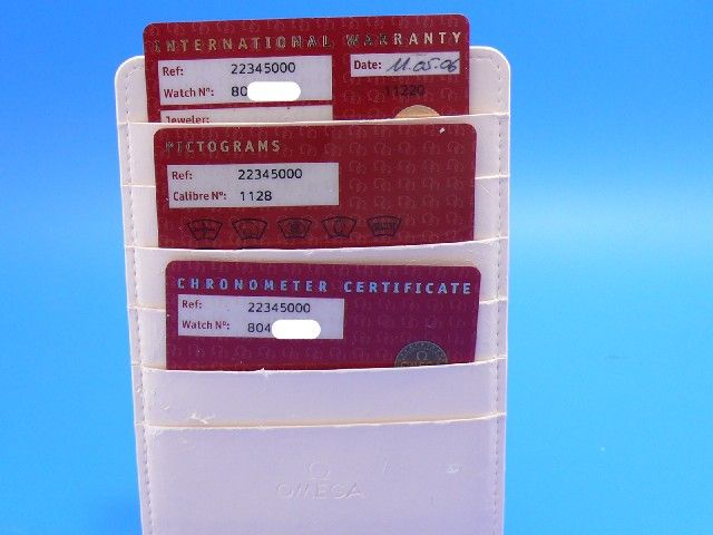 Omega Seamaster Diver 300M GMT