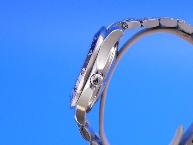 Omega Seamaster Diver 300M GMT