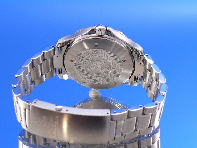 Omega Seamaster Diver 300M GMT