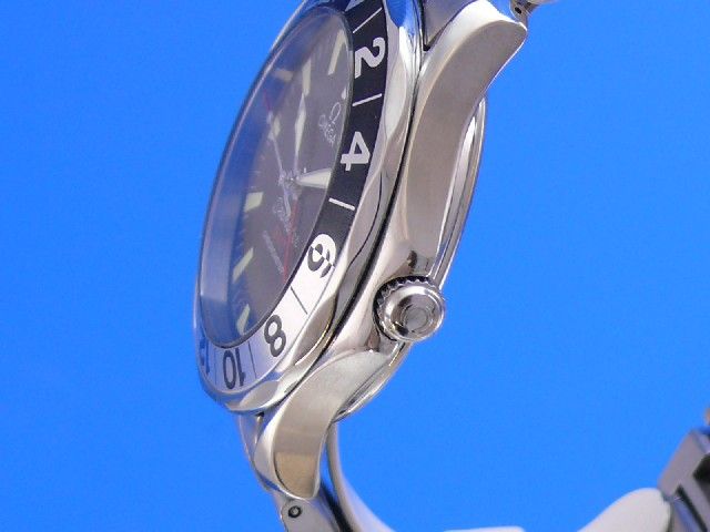 Omega Seamaster Diver 300M GMT