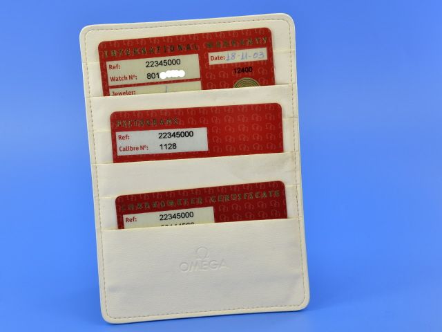 Omega Seamaster Diver 300M GMT