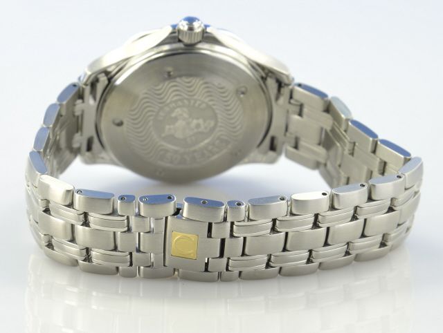 Omega Seamaster Diver 300M GMT