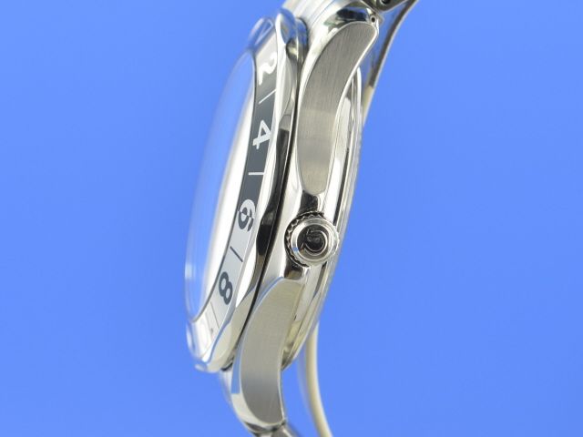 Omega Seamaster Diver 300M GMT