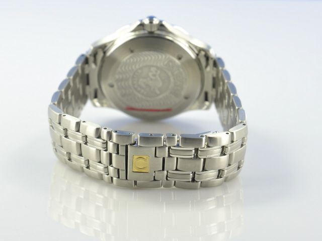 Omega Seamaster Diver 300M GMT