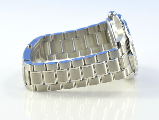 Omega Seamaster Diver 300M GMT