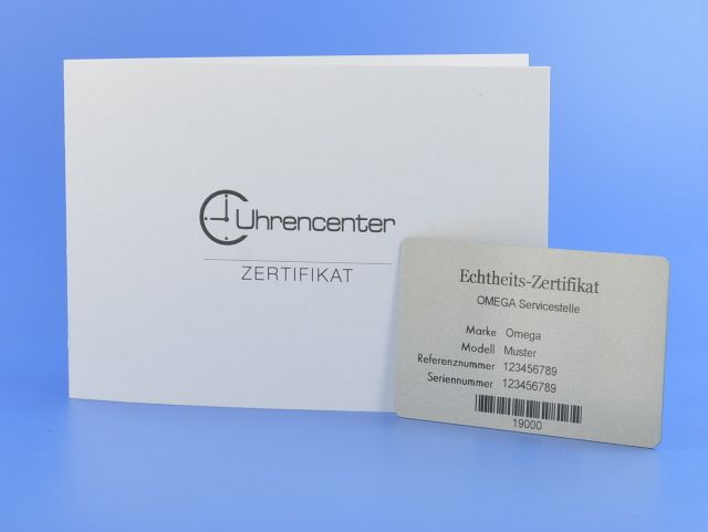 Omega Seamaster Diver 300M GMT