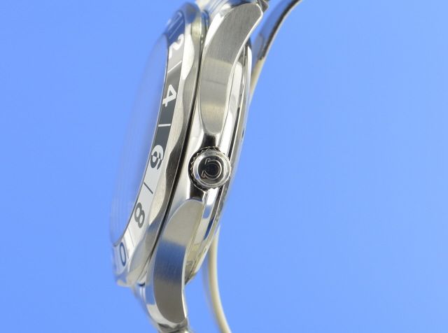 Omega Seamaster Diver 300M GMT