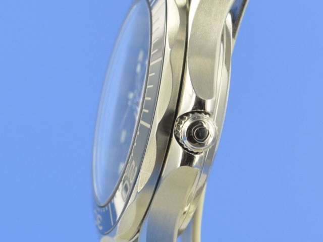 Omega Seamaster Diver 300M Keramik Co-Axial