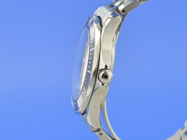 Omega Seamaster Diver 300M Professional