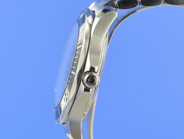 Omega Seamaster Diver 300M Quarz