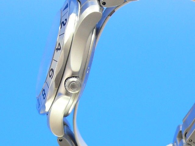 Omega Seamaster Diver GMT Professional 300M