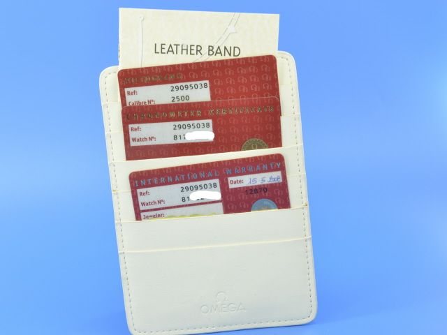 Omega Seamaster Planet Ocean 42 mm