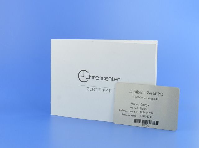 Omega Seamaster Planet Ocean 42 mm