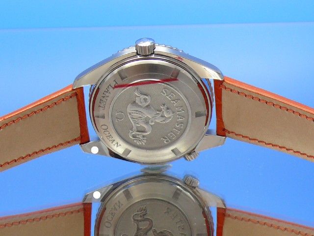 Omega Seamaster Planet Ocean 45 mm