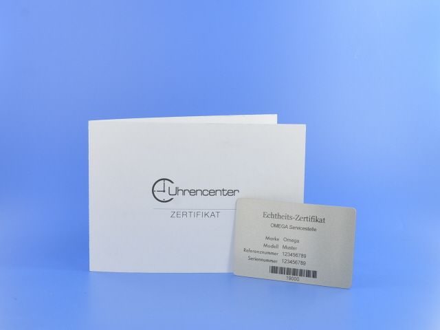 Omega Seamaster Planet Ocean 600M Sochi 2014