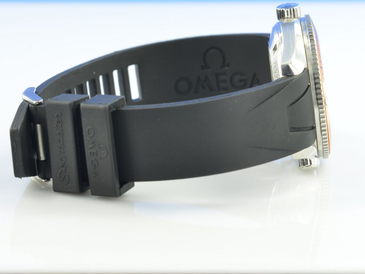 Omega Seamaster Planet Ocean  600M