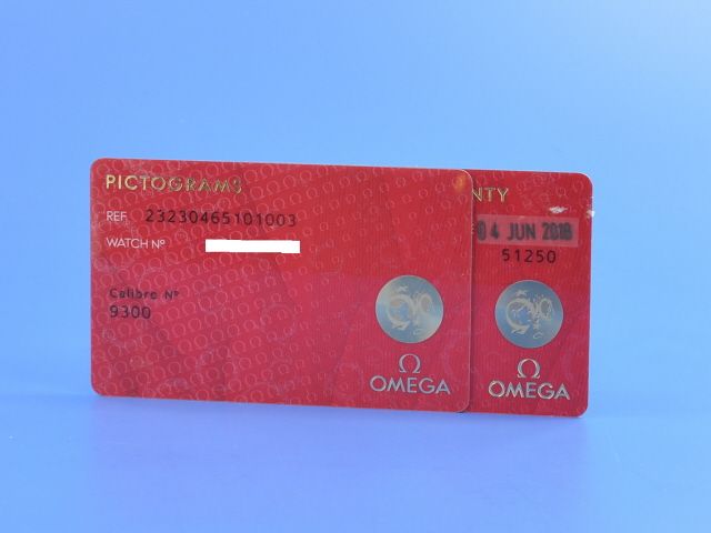 Omega Seamaster Planet Ocean Chronograph