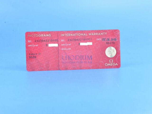 Omega Seamaster Planet Ocean 600M 42 mm