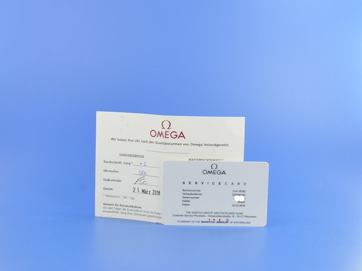 Omega Seamaster Planet Ocean Big Size 600M