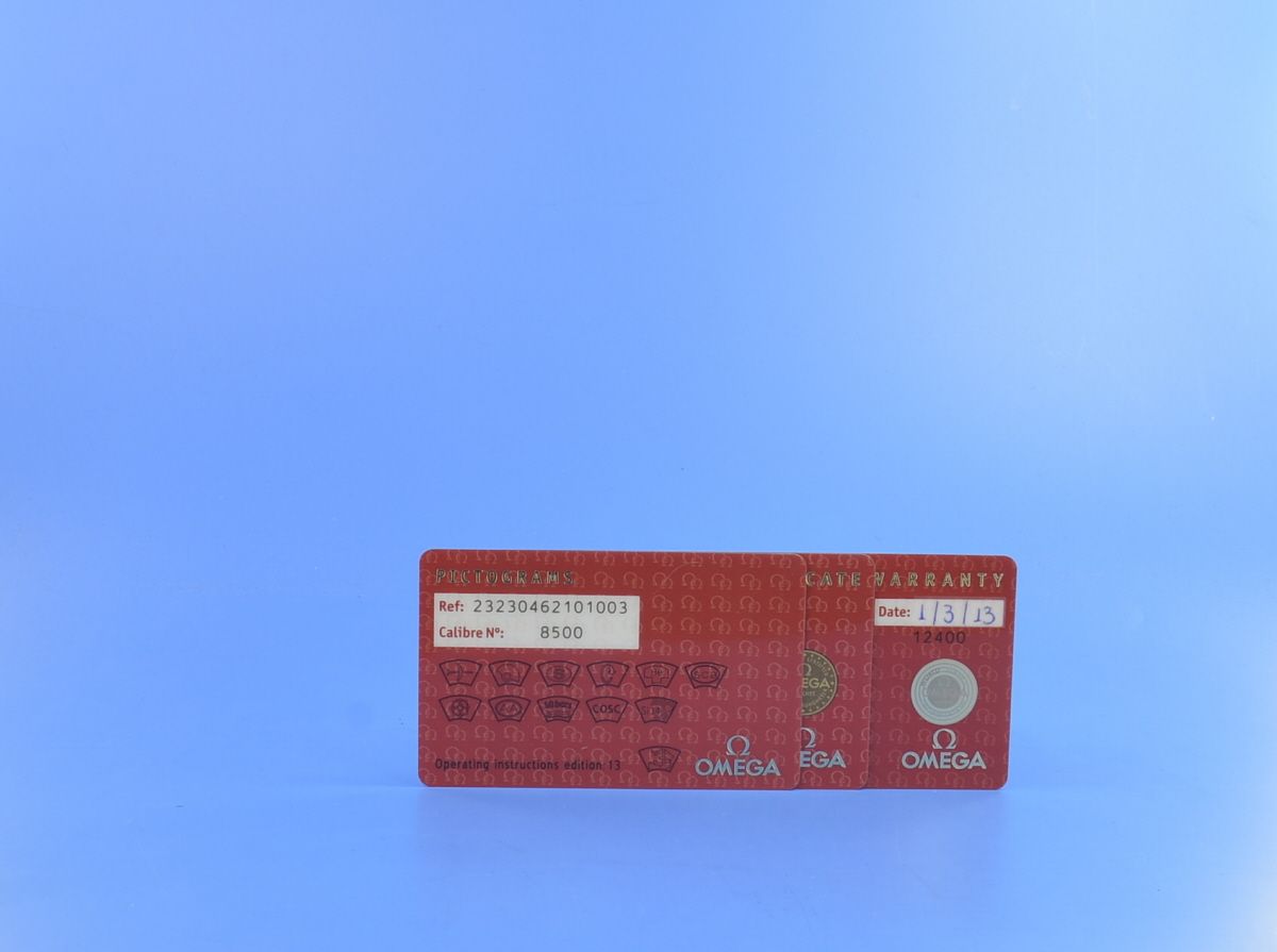 Omega Seamaster Planet Ocean Big Size 600M