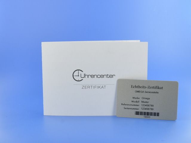 Omega Seamaster Planet Ocean Bigsize