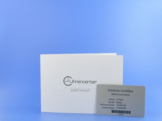 Omega Seamaster Planet Ocean Chronograph