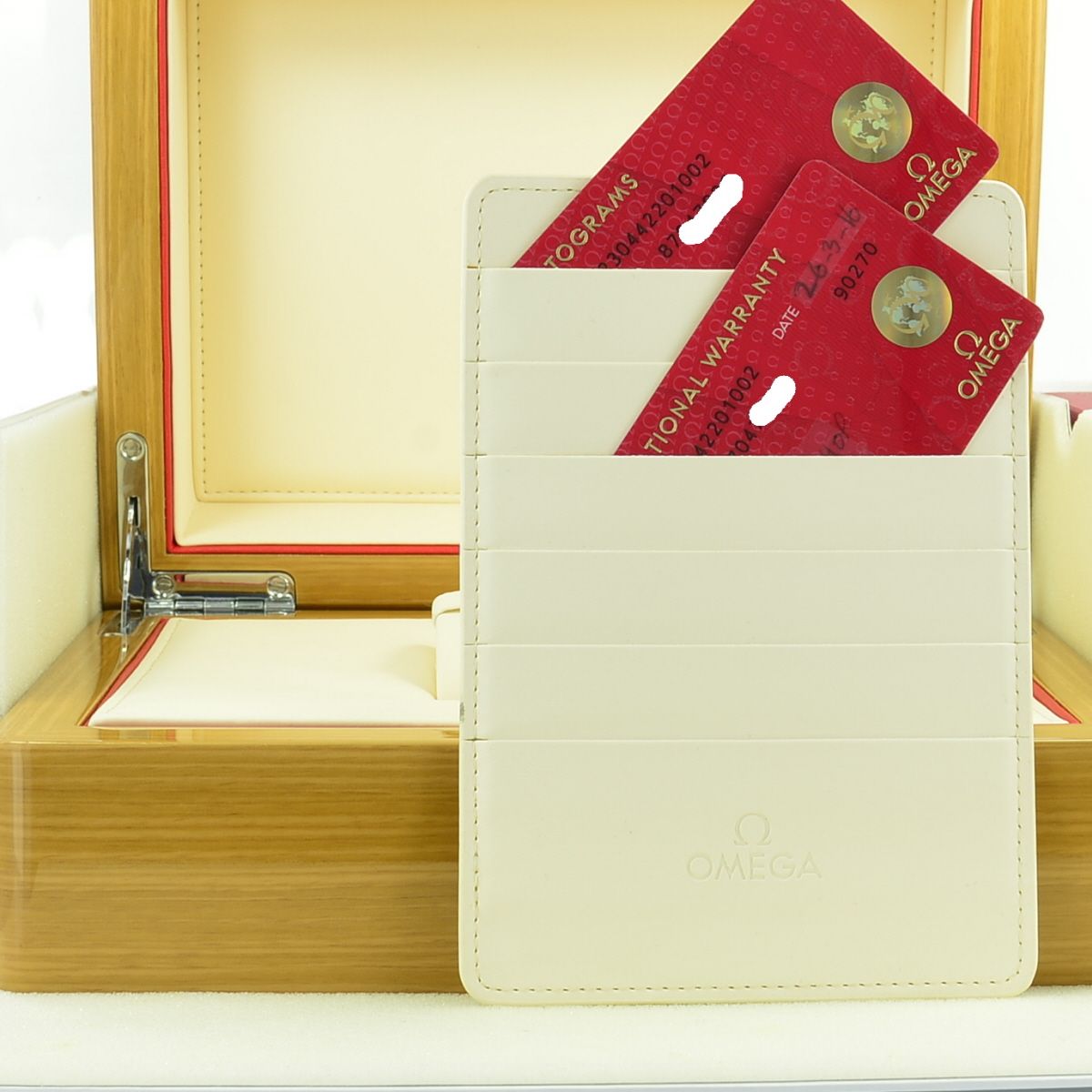 Omega Seamaster Planet Ocean Co-Axial GMT