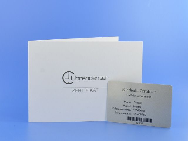 Omega Seamaster Planet Ocean Liquidmetal Limitierte Edition (1.948)