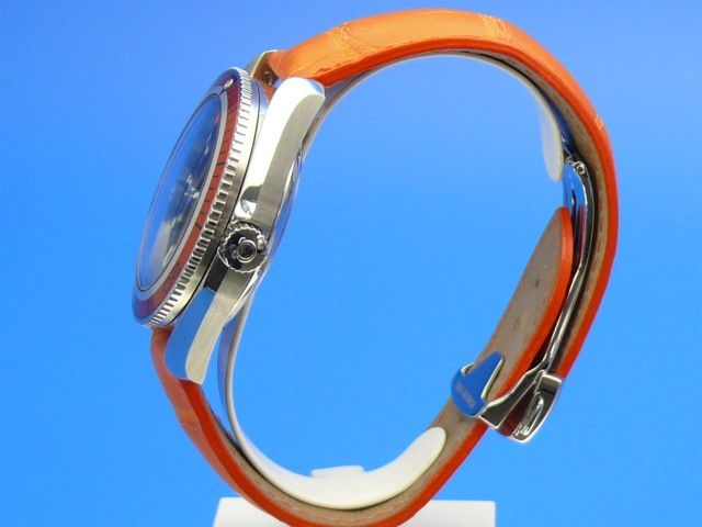 Omega Seamaster Planet Ocean