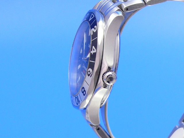 Omega Seamaster Professional GMT