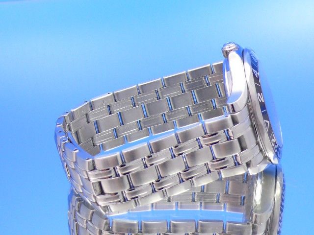 Omega Seamaster Professional GMT