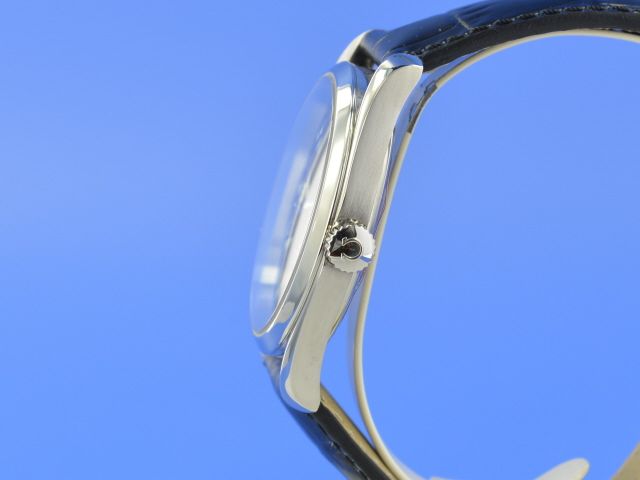 Omega Seamaster Railmaster Big Size