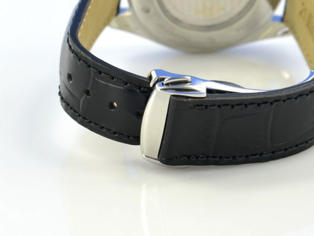 Omega Seamaster Railmaster Big Size