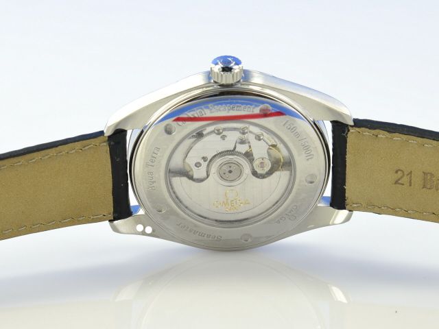 Omega Seamaster Railmaster Big Size