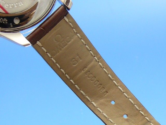 Omega Seamaster Railmaster Chronograph