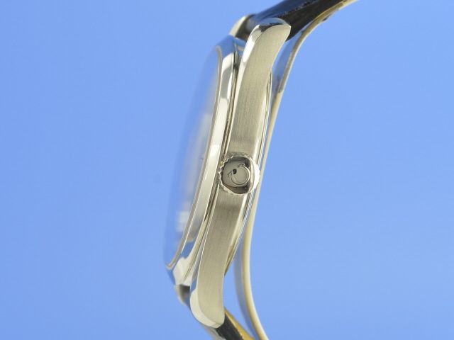 Omega Seamaster Railmaster Co-Axial