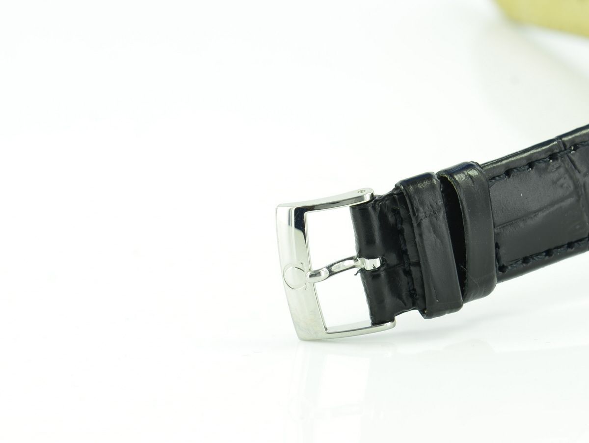 Omega Seamaster Railmaster Co-Axial