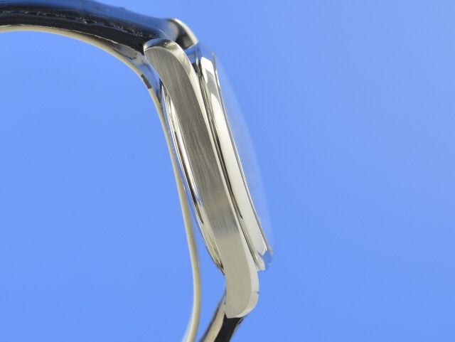 Omega Seamaster Railmaster