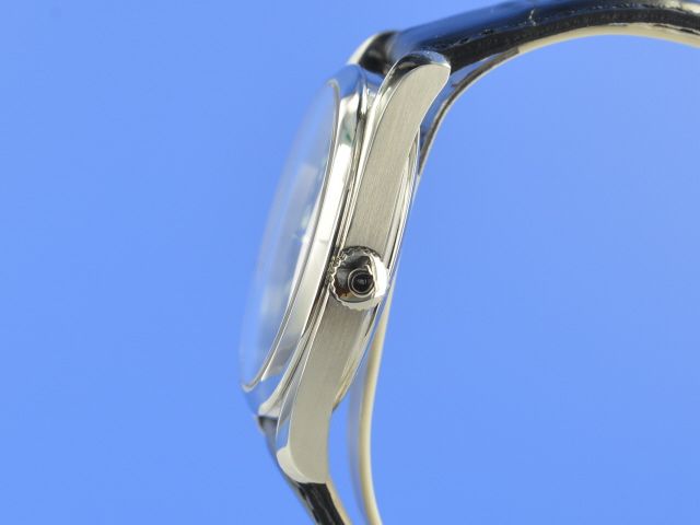 Omega Seamaster Railmaster