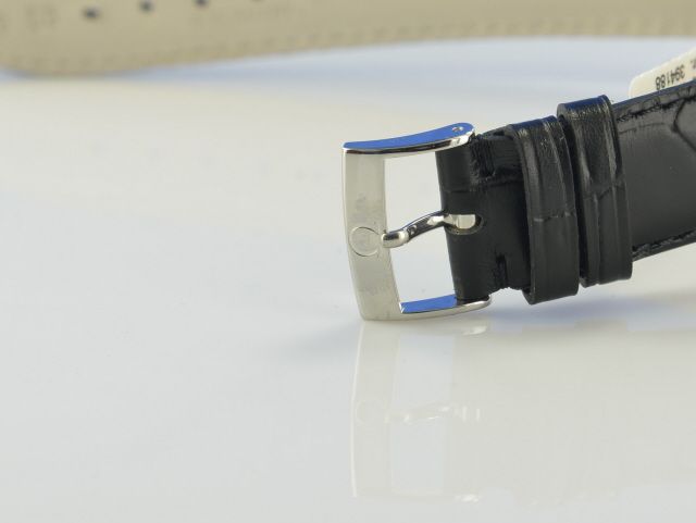 Omega Seamaster Railmaster