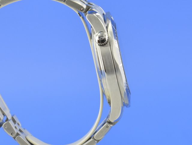 Omega Seamaster Diver 300M Professional