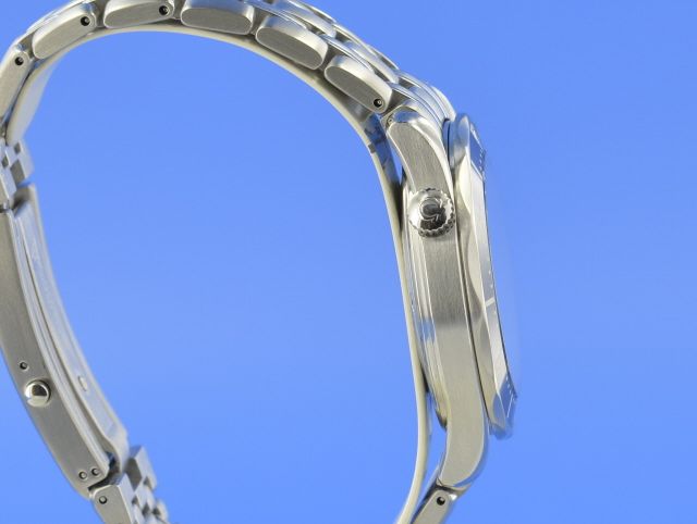 Omega Seamaster Diver 300M Quarz