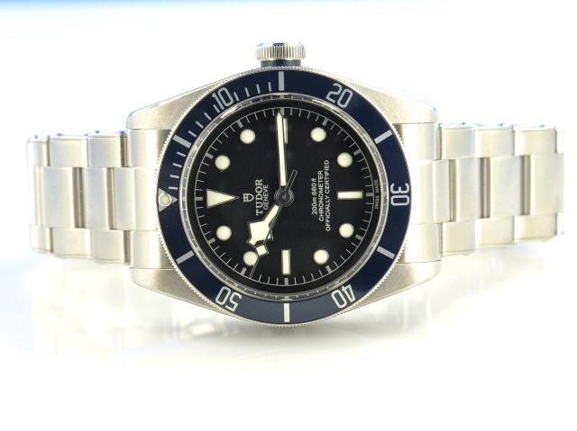 Tudor Black Bay 79230B