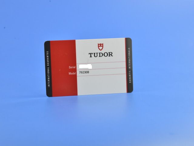 Tudor Black Bay 79230B