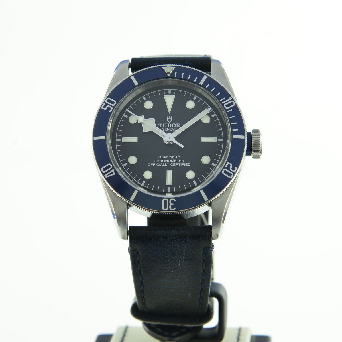 Tudor Black Bay