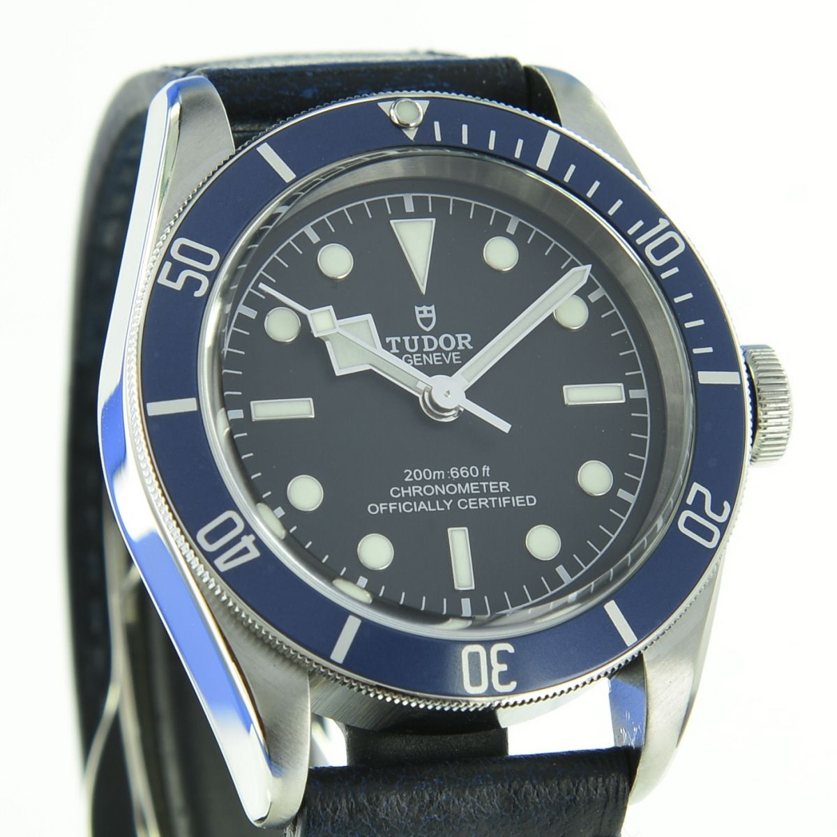 Tudor Black Bay