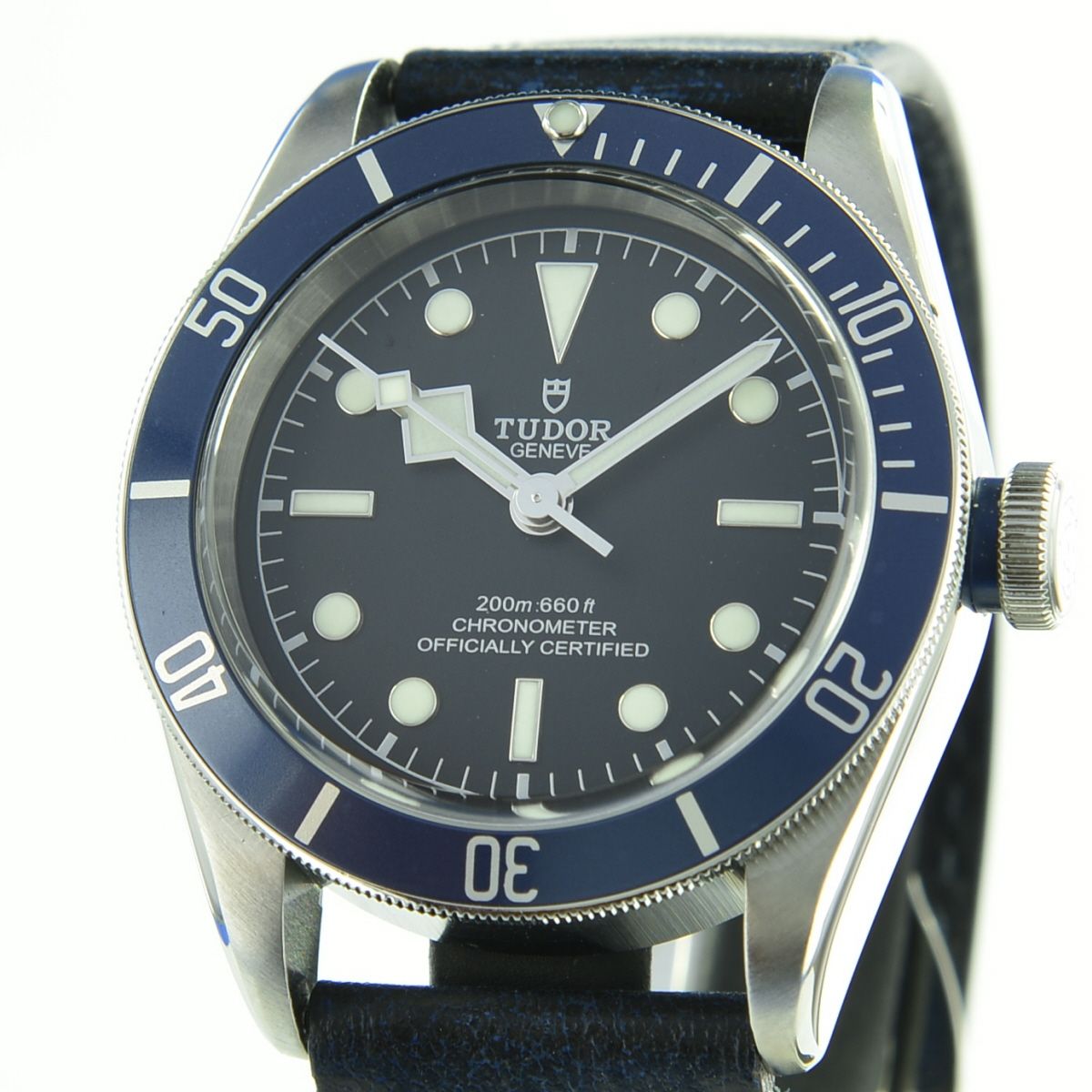 Tudor Black Bay