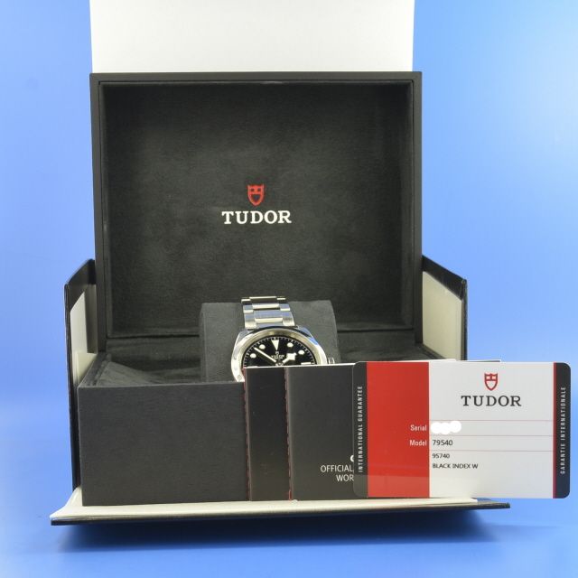 Tudor Black Bay