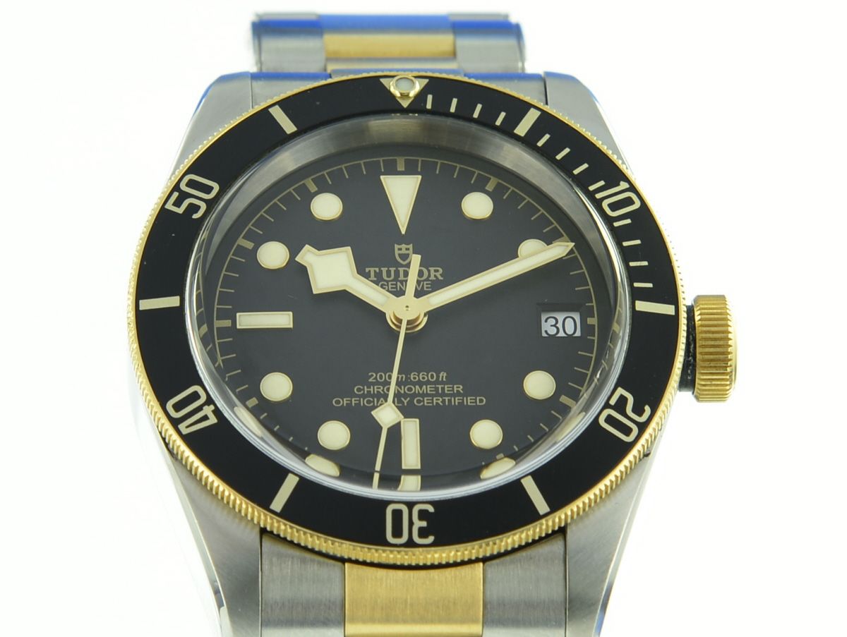 Tudor Black Bay S&G 79733N